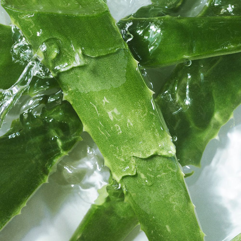 Aloe Barbadensis Leaf Juice*